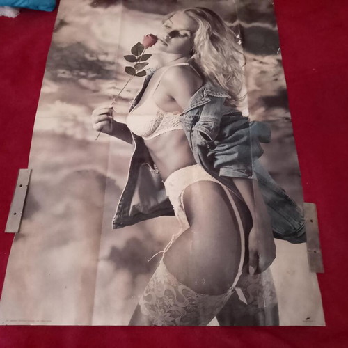 Photogrper-Pete Davis 1994 collectible poster used, 90x62 in, Spain