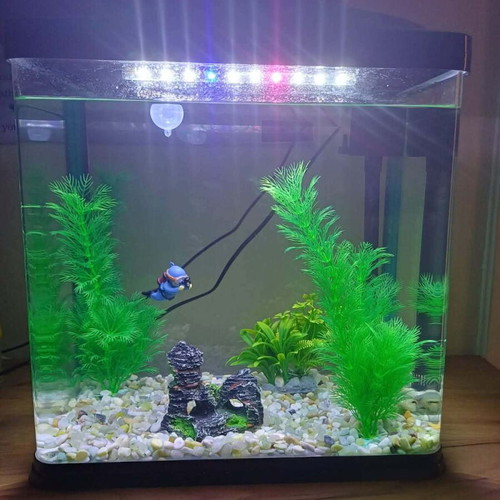 Aquarium 30 liters like new with lighting and filter
