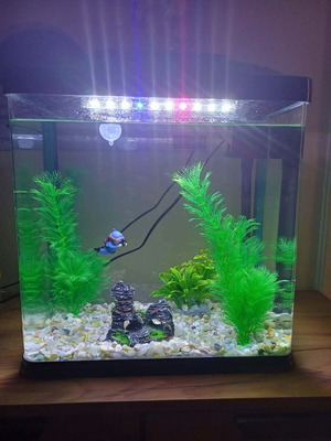 Aquarium 30 liters like new with lighting and filter