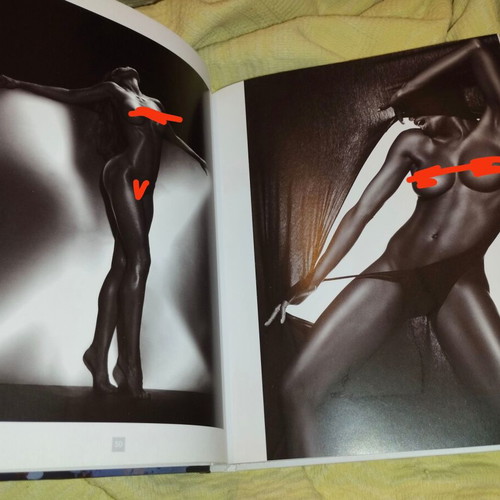 Les 20 meilleurs photographes de nu book like new, French