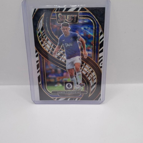 Panini Select Premier League James Tarkowski Zebra Card 2024-25 like new