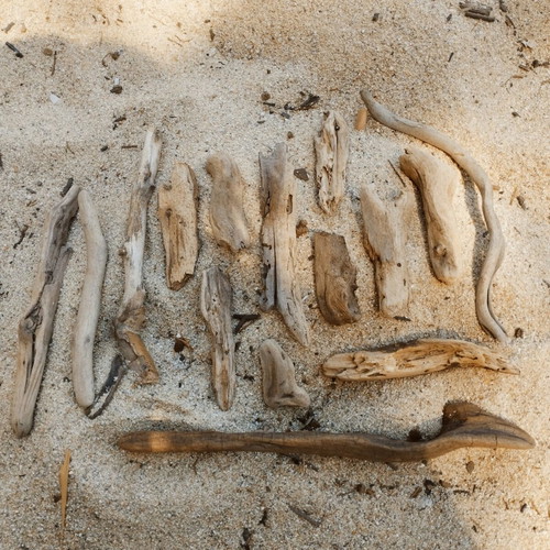 Driftwood pieces for decoration and crafts