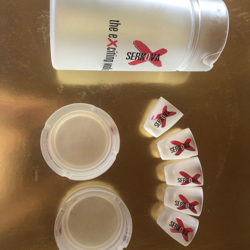 Serkova shot glasses set with large pitcher and ashtrays new