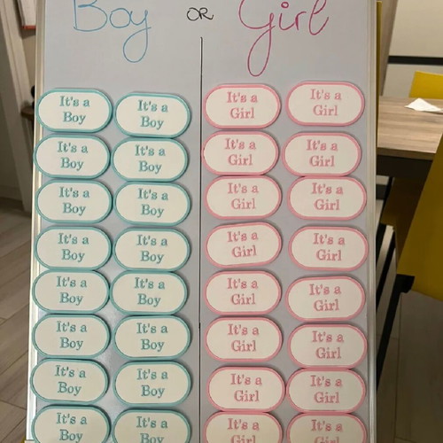 Gender Reveal Magnets new, handmade for baby shower