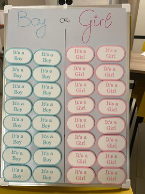 Gender Reveal Magnets new, handmade for baby shower