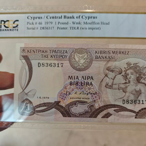 Cyprus 1 Pound 1979 banknote certified PCGS new