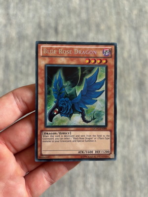 Yugioh Blue Rose Dragon used