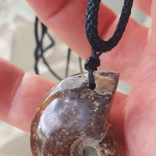 Ammonite pendant necklace, polished, adjustable string