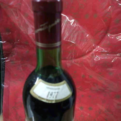 Merlot wine 1977