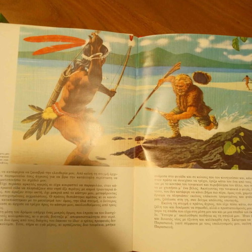 Robinson Crusoe illustrated edition for children used