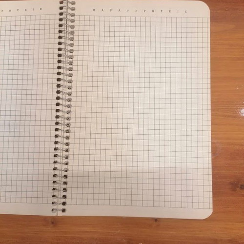 Vintage 80s Globus Grade Book Spiral & Biokart Blue Check Notebook