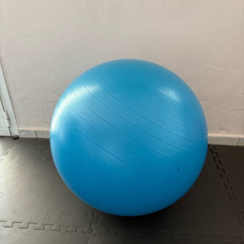 Large Body Sculpt exercise ball like new