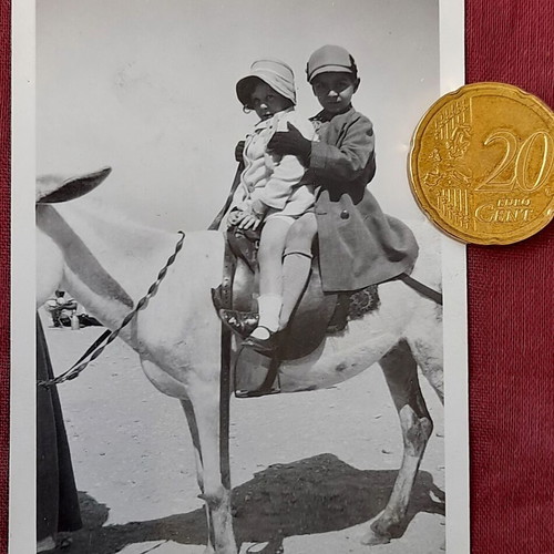 Vintage photo of two children on a donkey, 1930s, like new
