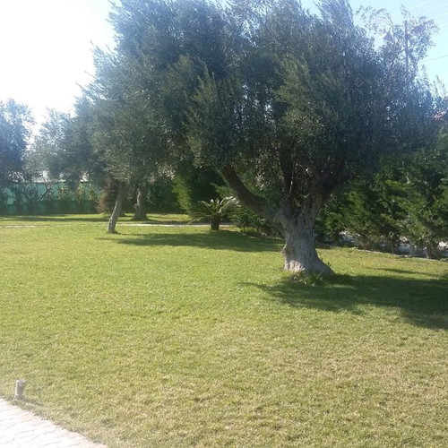Land 10,250 sqm in Pallini buildable with building and facilities