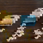  Playmobil χρυσά νομίσματα και μπαούλα
