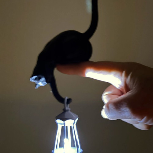 3D Maker decorative black cat lantern new
