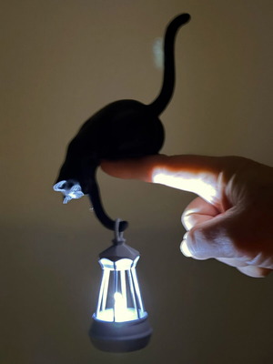 3D Maker decorative black cat lantern new