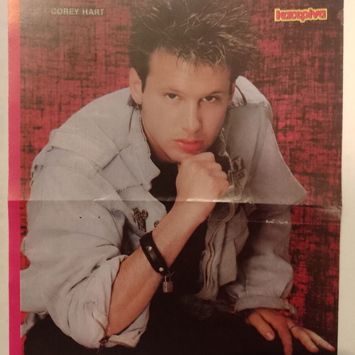 Poster Stamatis Gardelis and Madonna with Corey Hart like new