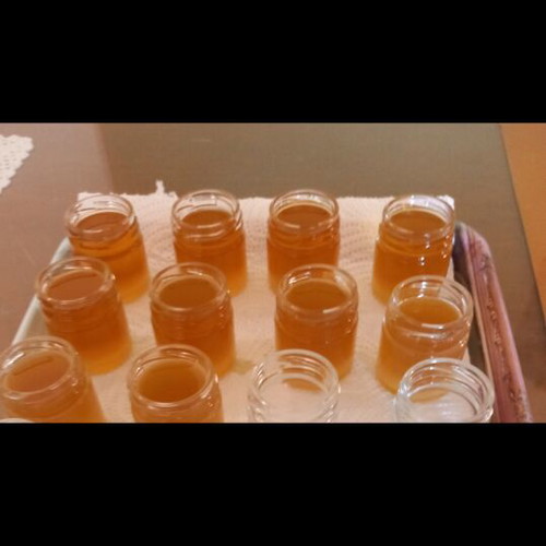 Beeswax ointment with organic oils