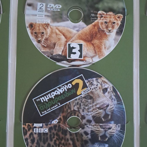 DVD The Big Cat Diary Part 2 like new