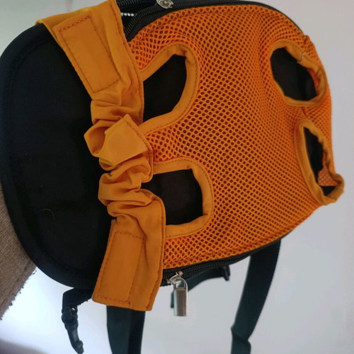 Dog backpack and socks new, size S