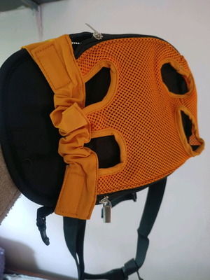 Dog backpack and socks new, size S
