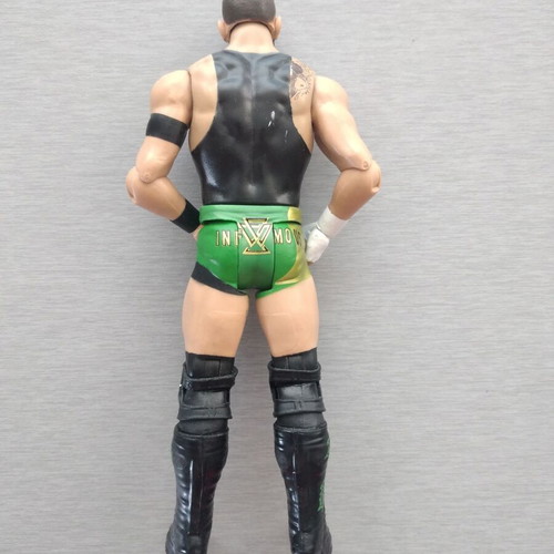 Bobby Fish WWE Pro-Wrestling Action Figure Toy like new