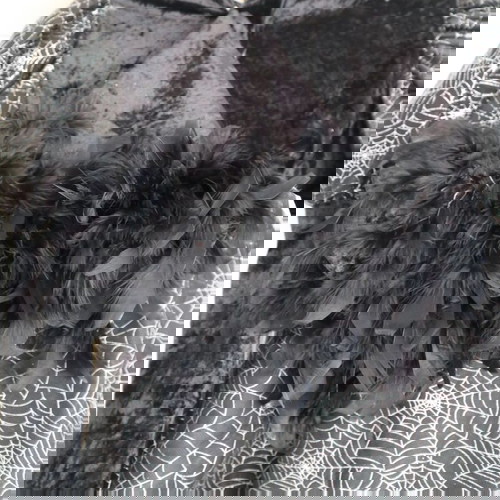 Αποκριάτικη Στολή Μάγισσα Ενηλίκων Καινούργια One Size