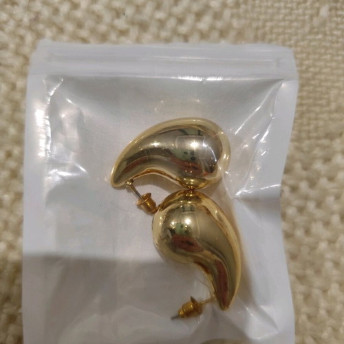 Earrings new