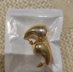 Earrings new