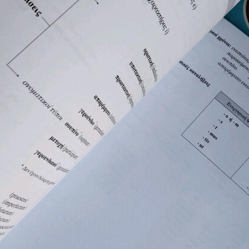 Latin Textbook Grade 11 like new, theoretical direction