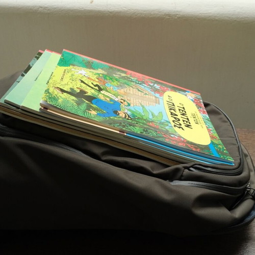 Bellroy Transit Workpack Pro 28L used, olive green backpack