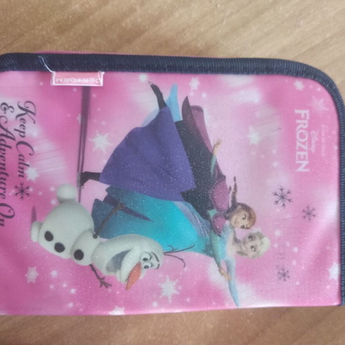 Frozen pencil case used, large school
