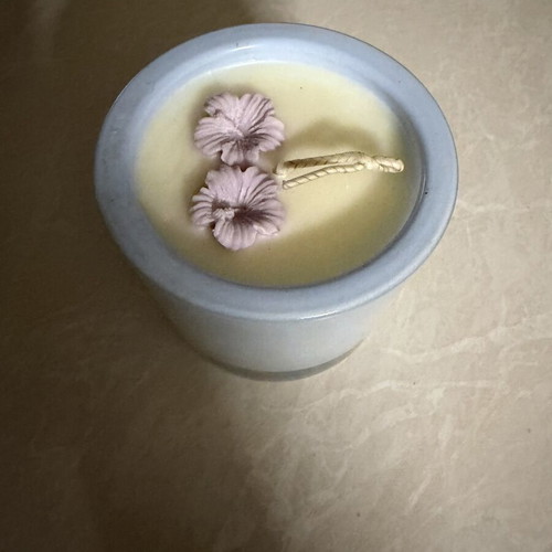 Soy Candle Gardenia Scent 300g new