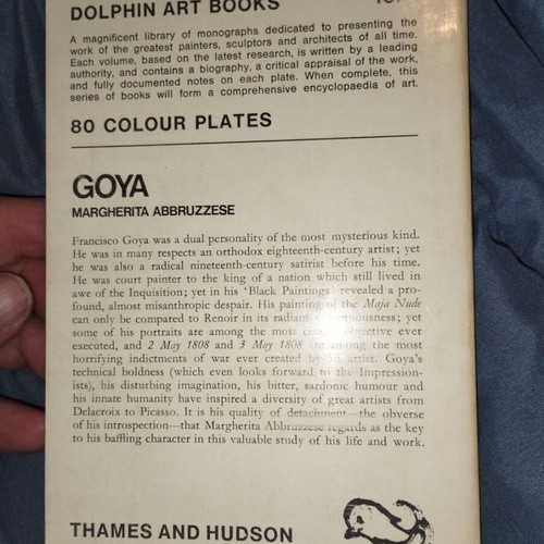 Goya Dolphin Art Book by Margherita Abbruzzese