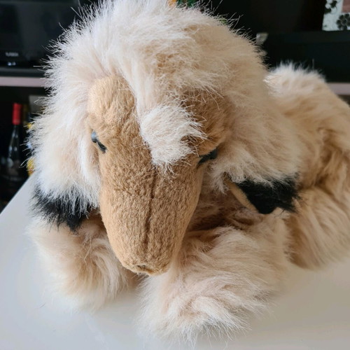Stuffed dog used in good condition with missing nose