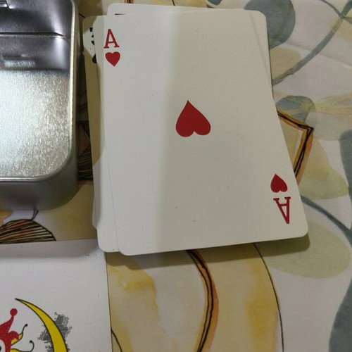 Penthouse collectible playing cards new