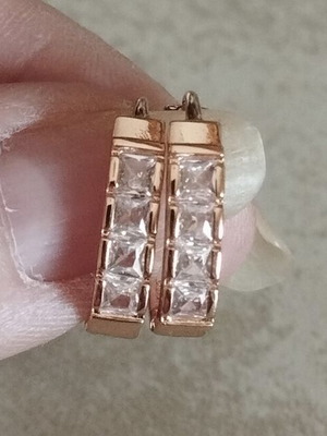 Elegance 585 RG rose gold plated earrings