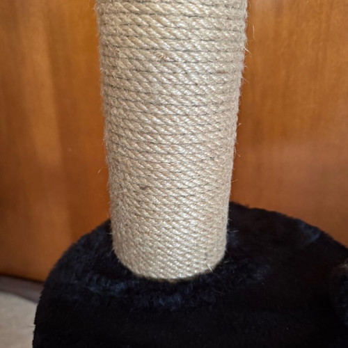 Pet equipment new with litter boxes, dish, nail clippers and stand