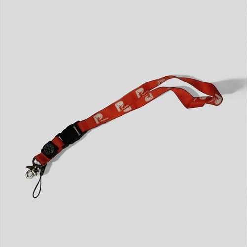 Public lanyard keychain new collectible and genuine
