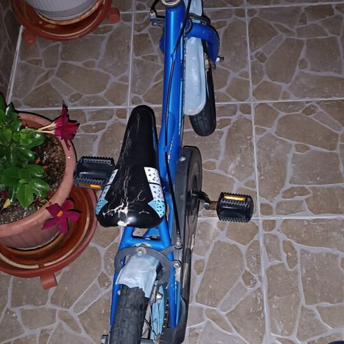Orient Terry 14" BMX bike, blue, men's