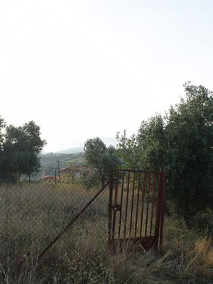 Οικόπεδο 293 τ.μ. στο Μαδάρο Συκαμίνου με θέα και περίφραξη