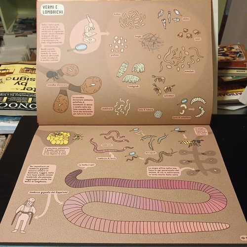 Sottoterra Sottaqua children's book in Italian 2015