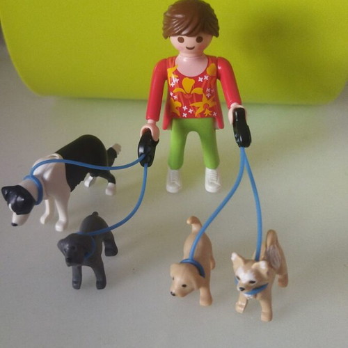 Playmobil 5380 dog walker collectible figure