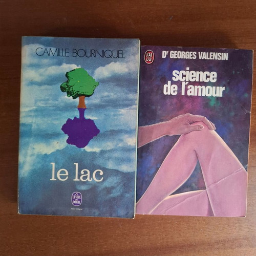 Set of 2 vintage French books Le Lac and Science de l'amour used