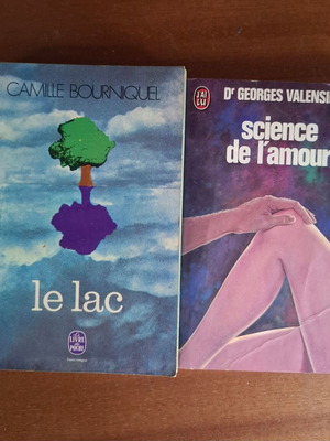 Set of 2 vintage French books Le Lac and Science de l'amour used