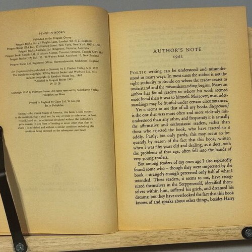 Steppenwolf Hermann Hesse The Steppenwolf like new