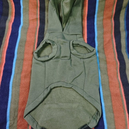 Reebok casual hoodie for dogs S green like new