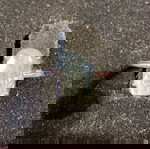  Λαμπραδοριτης pixu ασημένιο δαχτυλιδι one size