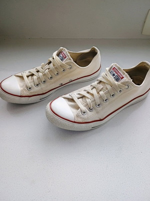 All Star Converse 42